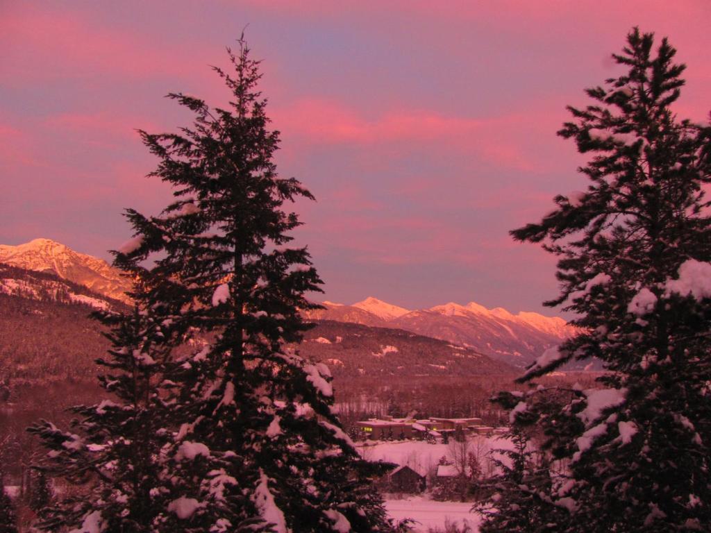 Greenwood Country Inn Pemberton Ruang foto