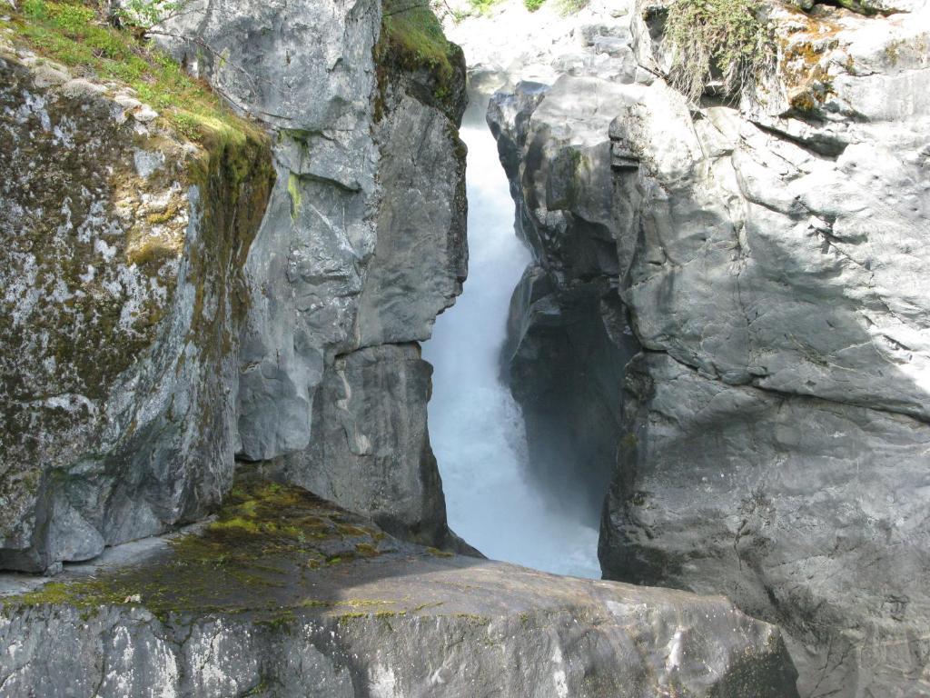 Greenwood Country Inn Pemberton Bagian luar foto